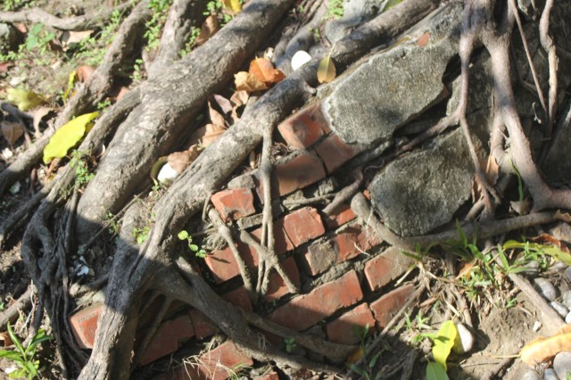 Tainan_Michael_Meneghetti_IMG_8194