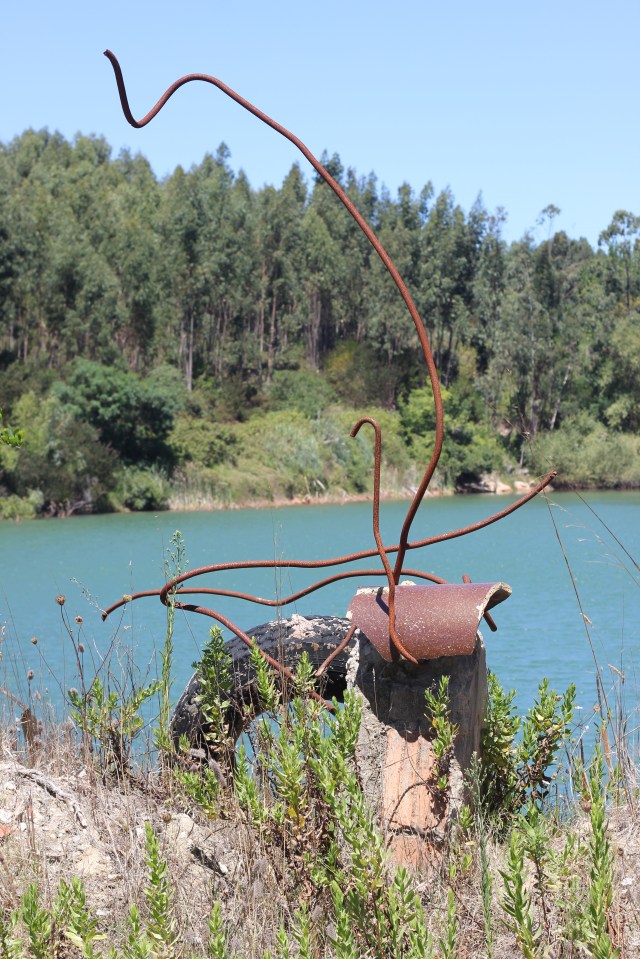 Found in Figueira Da Foz