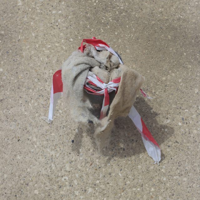 Found in Figueira Da Foz