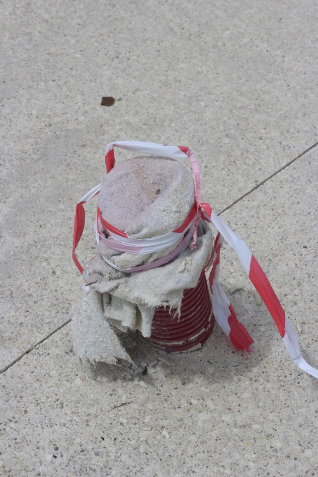 Found in Figueira Da Foz