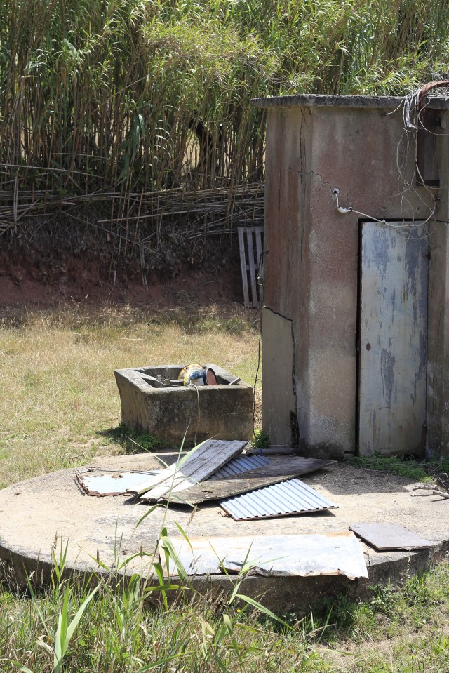 2019 Michael Meneghetti